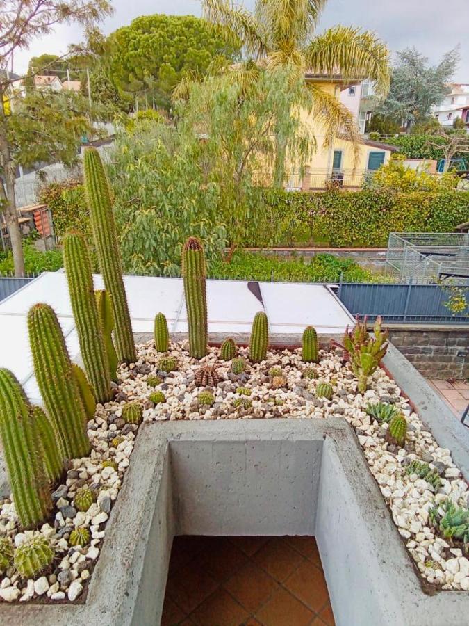 Apartmán Fiori Dell Etna Mascalucia Exteriér fotografie