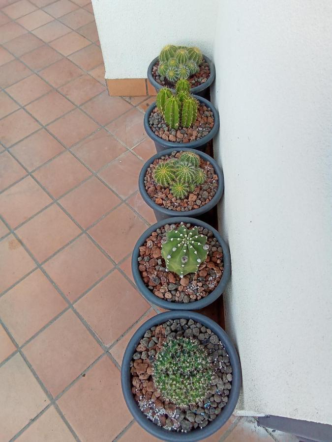 Apartmán Fiori Dell Etna Mascalucia Exteriér fotografie