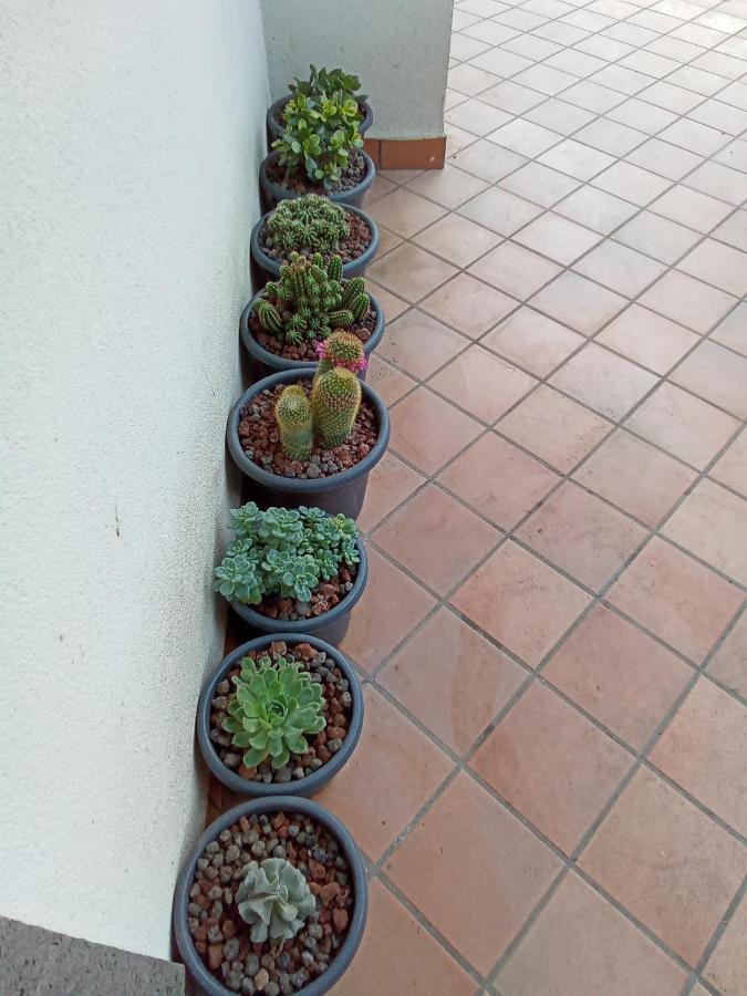 Apartmán Fiori Dell Etna Mascalucia Exteriér fotografie